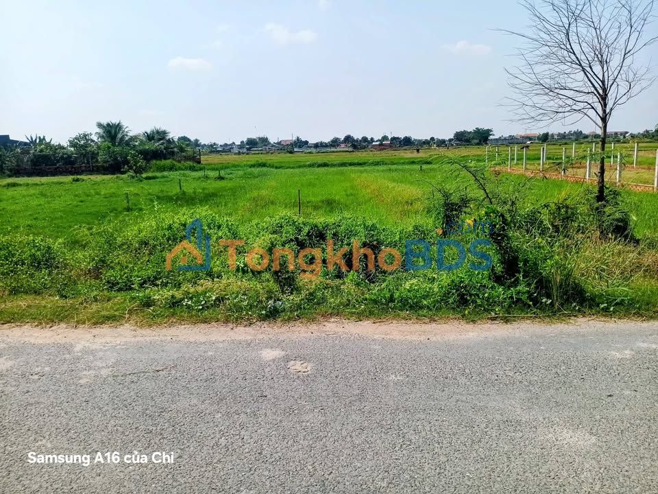 Đất nền Mỹ Hạnh Nam Long An 155m² 1.55 tỷ - Sổ đỏ chính chủ