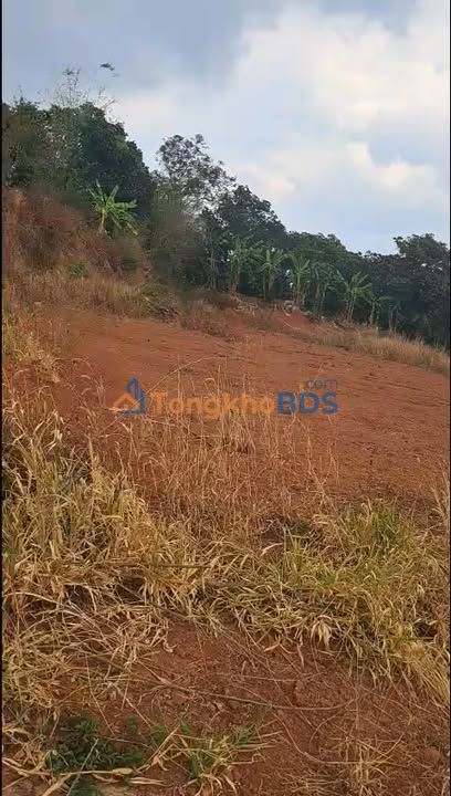 Đất Nền Thôn 7 Kiến Thành - 560m² Sổ Đỏ, Gần Hồ, Giá Tốt 480 Triệu