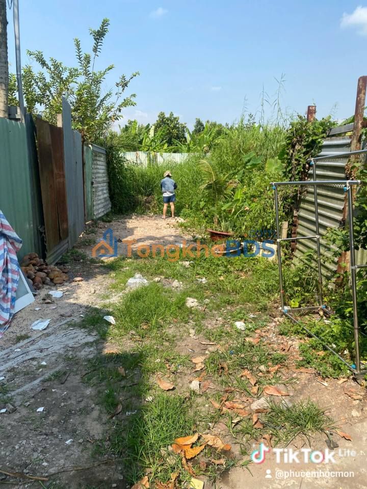 Đất Nền Bình Mỹ Củ Chi - Sổ Thổ Cư & Đất Trồng Cây, Giá Chỉ Từ 270 Triệu