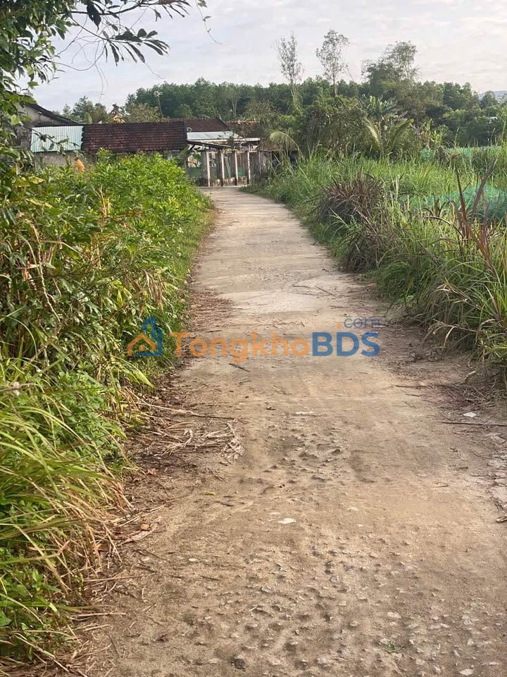 Đất Nền Thăng Bình 160m² - Sổ Đỏ Rõ Ràng, Giá Chỉ 4xx Triệu