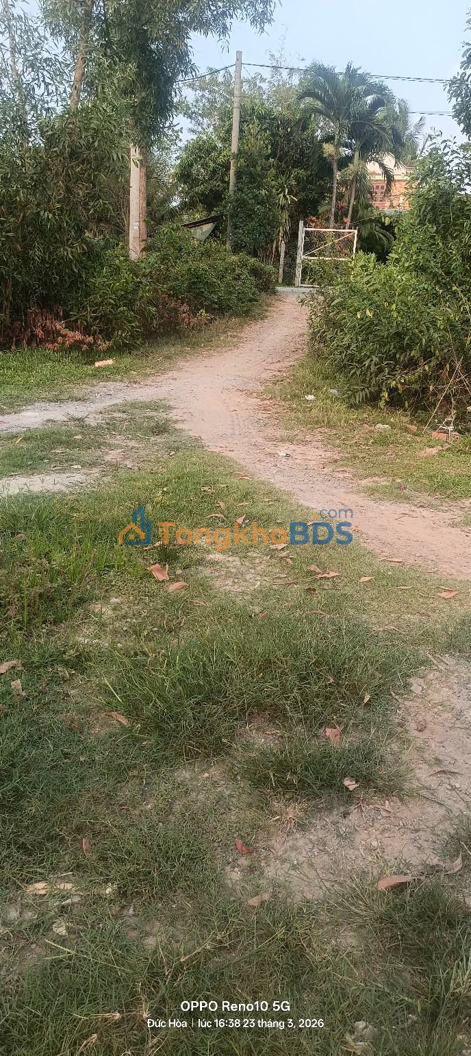 Đất Lúa Đức Lập Hạ 255m² - Sổ Hồng - Mặt Tiền Kênh 10m