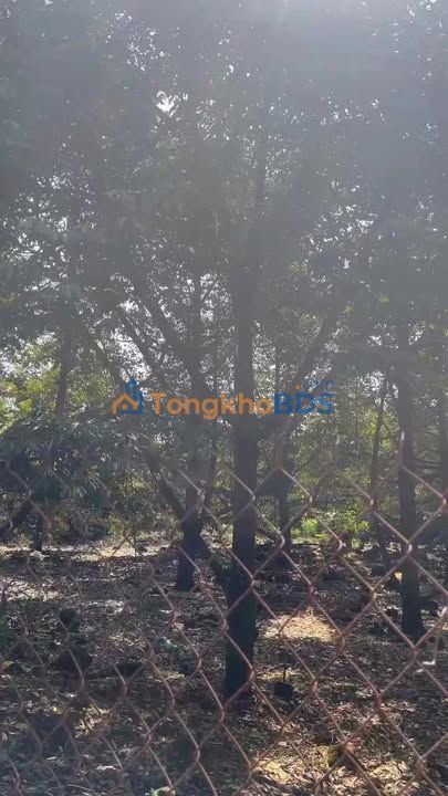 Đất Vườn 1000m² Mặt Tiền Tà Lài, Đồng Nai - Sổ Hồng Riêng, Giá 2 Tỷ