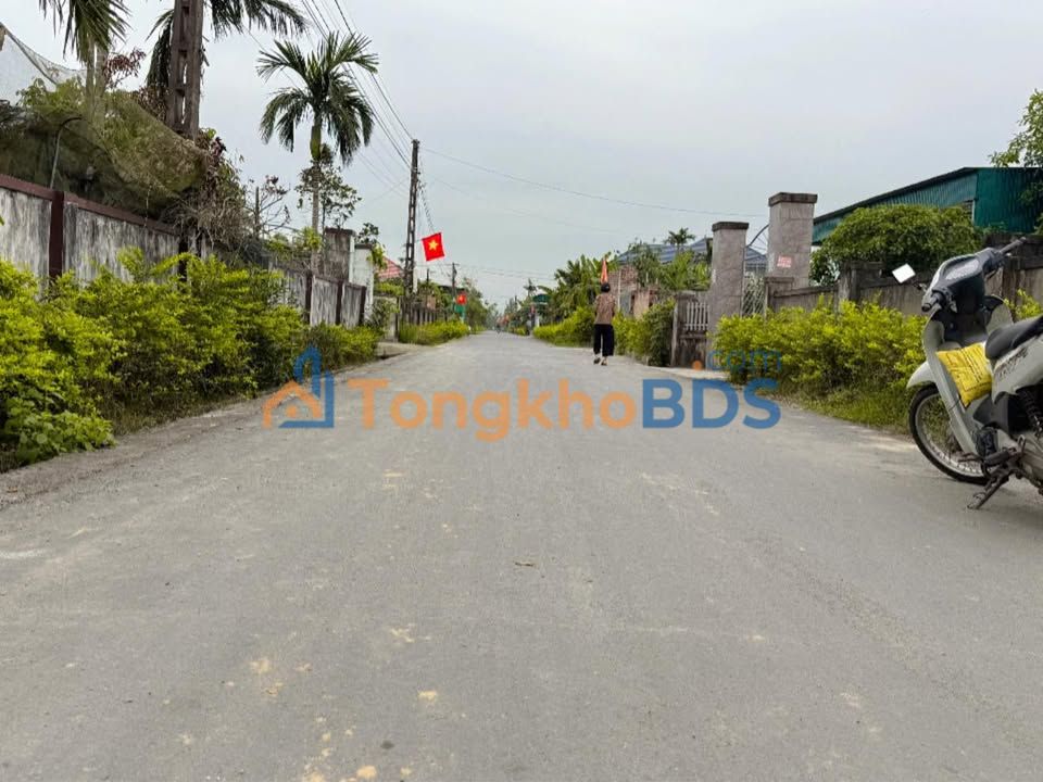 Đất nền Thạch Thắng 120m² 800tr - Hạ tầng hoàn thiện