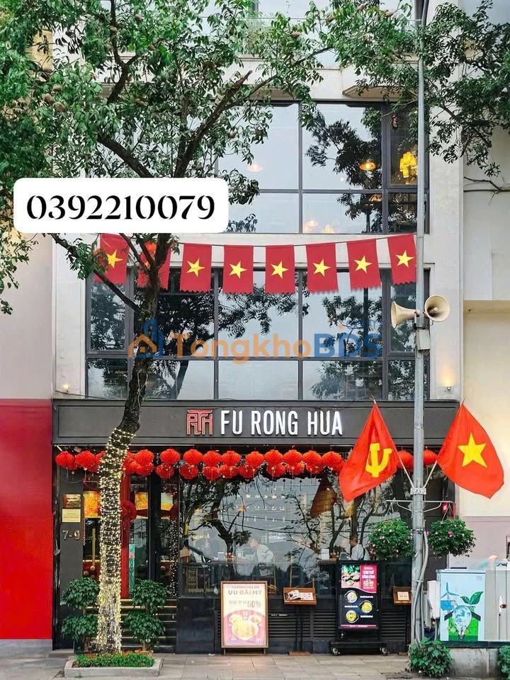 Nhà phố Nguyễn Phong Sắc 80m² - Mặt tiền kinh doanh