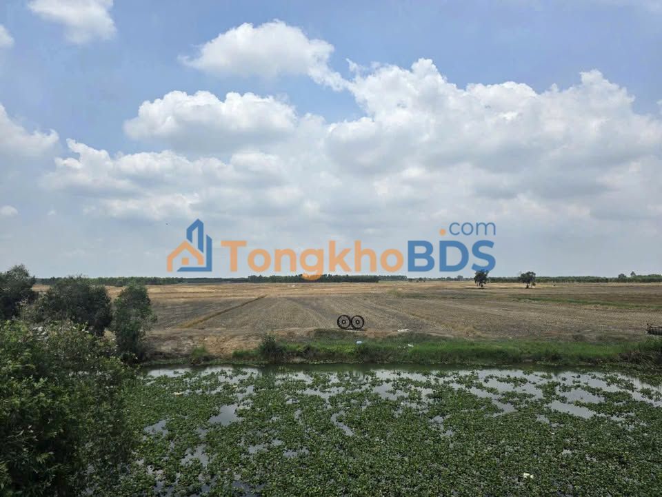 Bán Gấp 130.000m² Đất Lúa Mặt Tiền Kênh, Đức Huệ, Long An - Giá 13 Tỷ