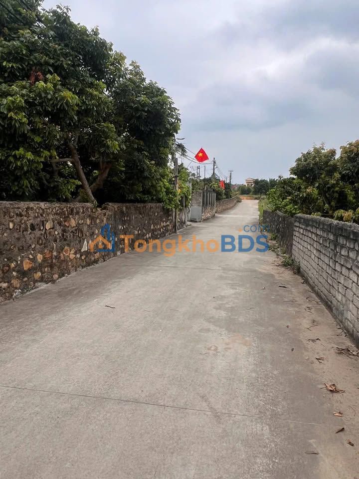 Đất Nền Đồi Ngô, Lục Nam 100m² - Sổ Đỏ Thổ Cư, Giá Chỉ 9xx Tỷ