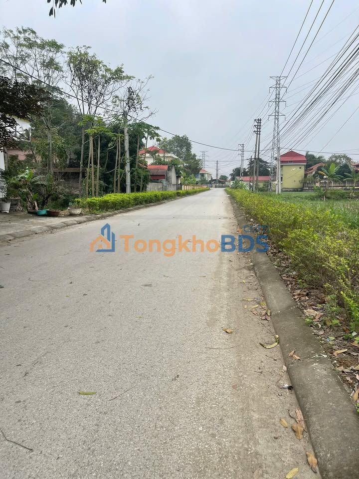 Mặt Tiền Kinh Doanh Xã Yên Thịnh, Yên Định - 150m² Giá 1.6 Tỷ