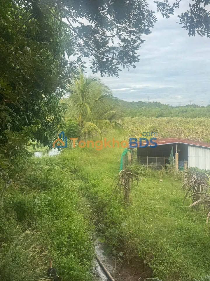 Đất vườn Hàm Trí 2.916m² 1,0125 tỷ - Sinh thái dài hạn