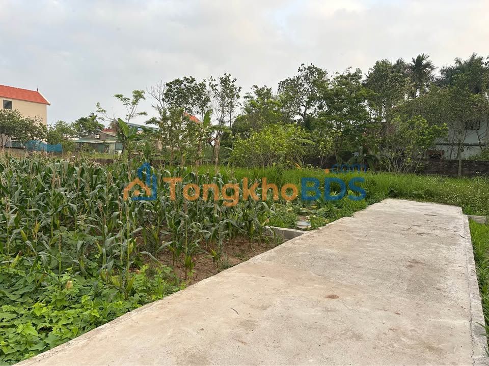 Bán Đất Chương Lộc, Long Biên 80m² - Sổ Đỏ Rõ Ràng, Giá Đầu Tư Tốt