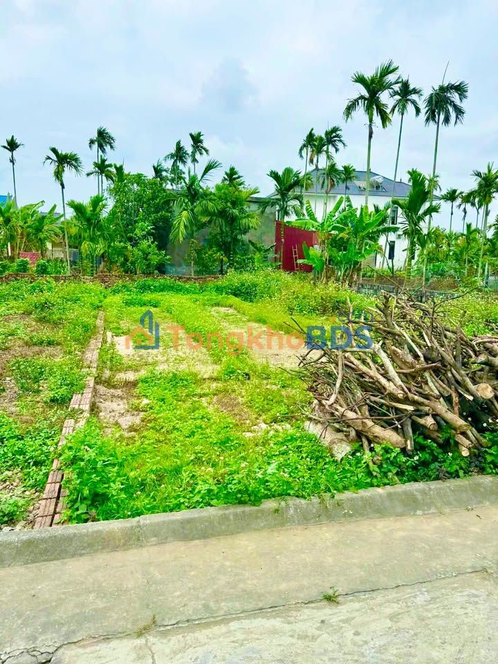 Đất nền Chiến Thắng 84m² giá thỏa thuận - Giá tốt hiếm có