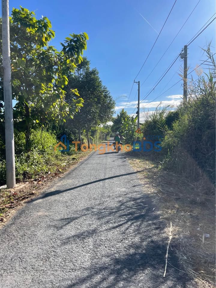 Đất nền Tân Ngãi Vĩnh Long 216m² 800 triệu - Đất thổ cư 100%