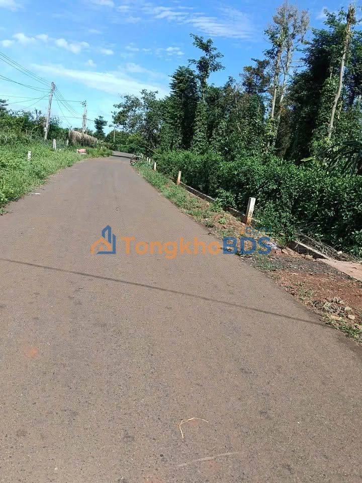 Đất nền Đá Bạc Châu Đức 1000m² 1.2 tỷ - Sổ hồng riêng