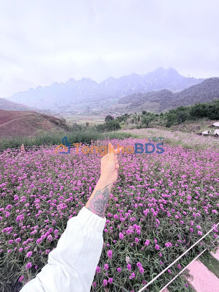 Đất nền QL6 Mai Châu 1.710m² 4 tỷ - Đường to ô tô