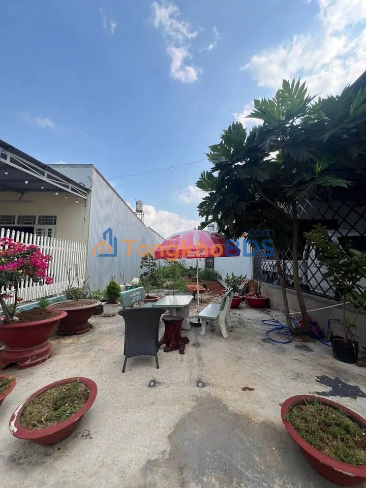 Đất Nền Bảo Lộc 126m² - Đường Nhựa Ô Tô Tận Nơi, Giá 2.3 Tỷ