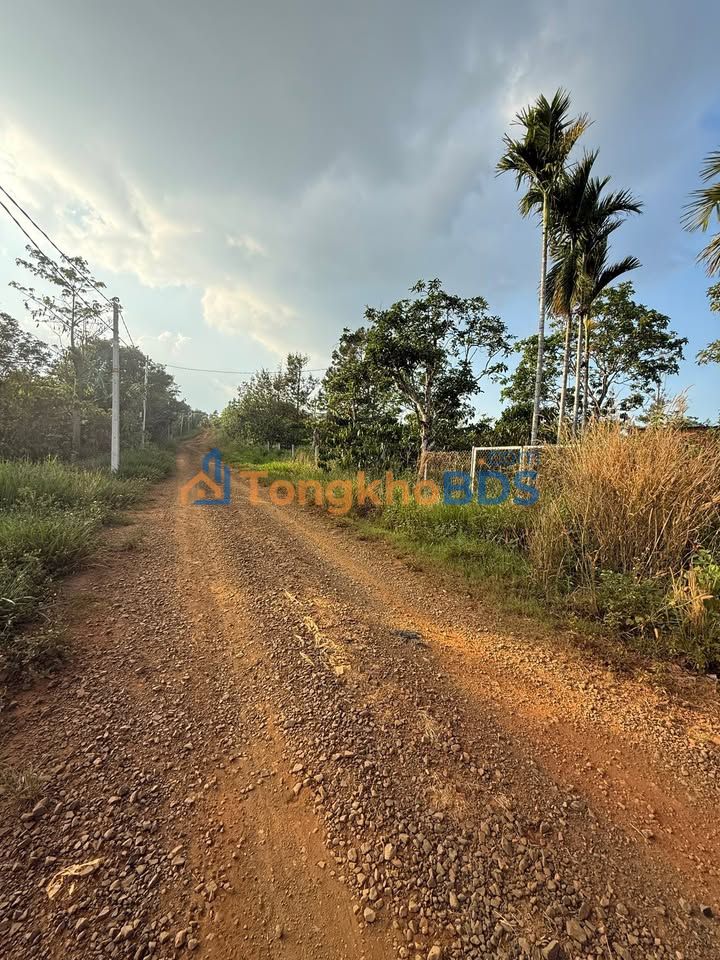 Bán Rẫy 1.7ha Mặt Tiền Đường TP Gia Nghĩa - Giá 3.2 Tỷ