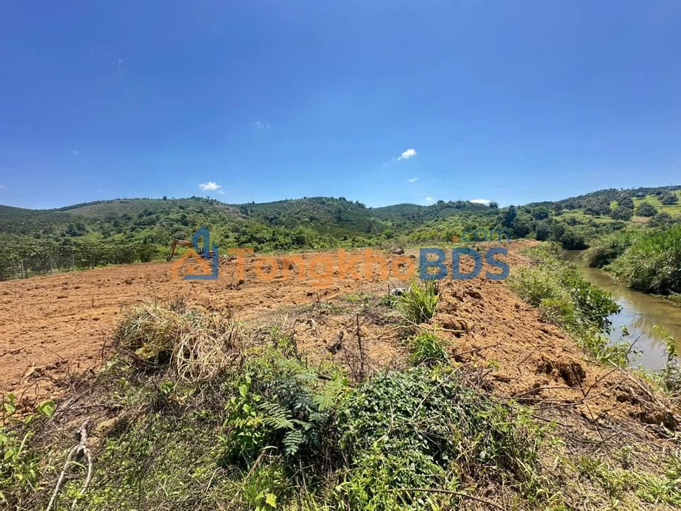 Đất Vườn 5000m² Siêu Đẹp Bên Suối, Bảo Lộc - Sổ Hồng Sẵn Sàng