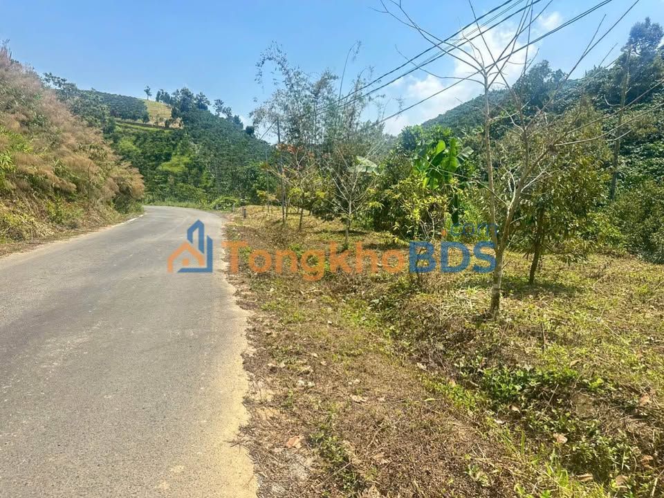 Bán Gấp Farm Cafe 7200m² Lộc Thành, Bảo Lâm - View Đẹp, Đường Nhựa