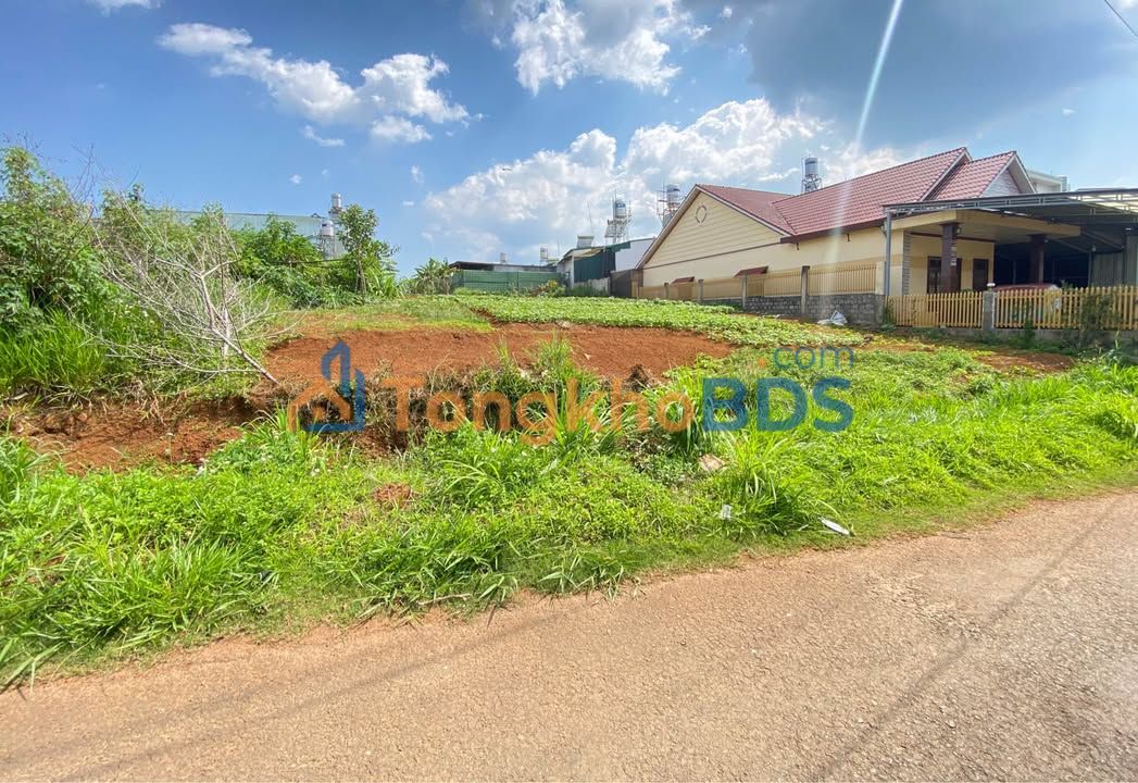 Đất Vàng Bảo Lộc 816m² (2 Sổ Riêng) - Mặt Tiền Trần Quý Cáp Giá 7.98 Tỷ