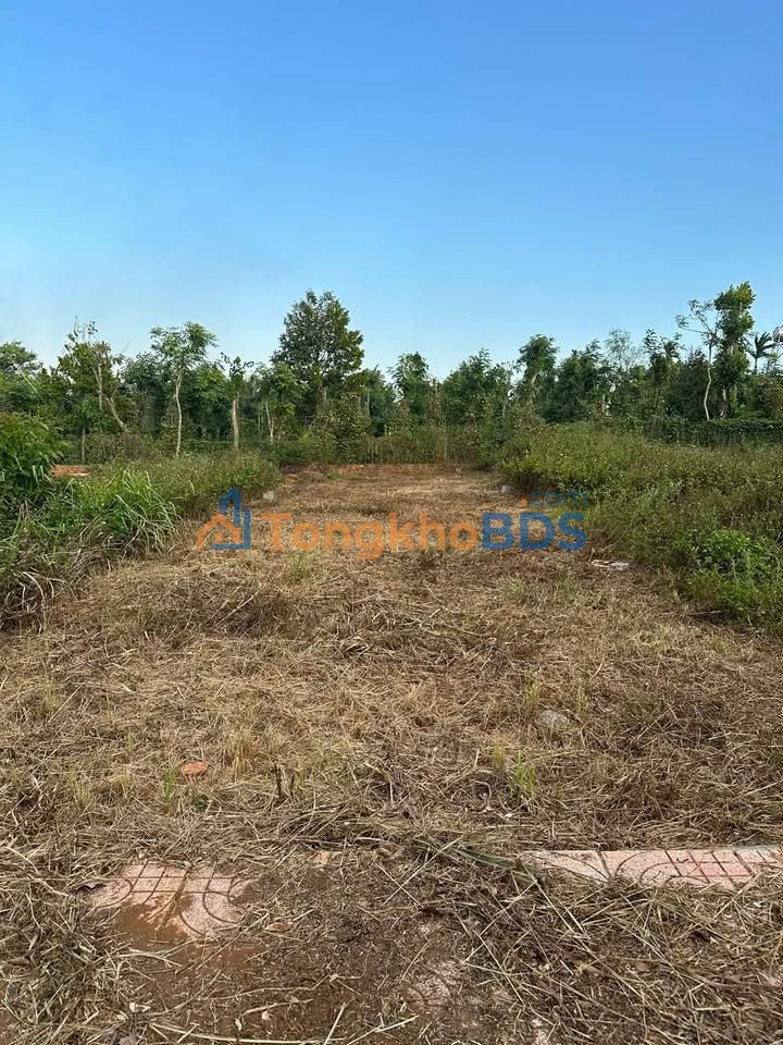 Đất Thị Trấn Phú Túc, Krông Pa - 140m² Giá 8xx Triệu, Sẵn Sàng Xây Dựng