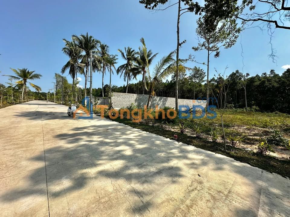 Đất Nền Phú Quốc 500m² - Liền Kề Dương Đông, Giá Đầu Tư 2.25 Tỷ