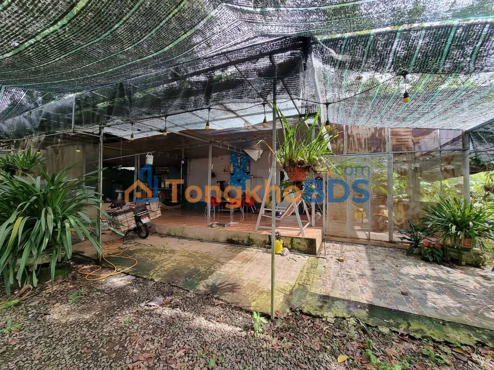 Đất Vườn Nghỉ Dưỡng 4250m² Đồng Nai - Giá 2.5 Tỷ, Sẵn Sổ Hồng