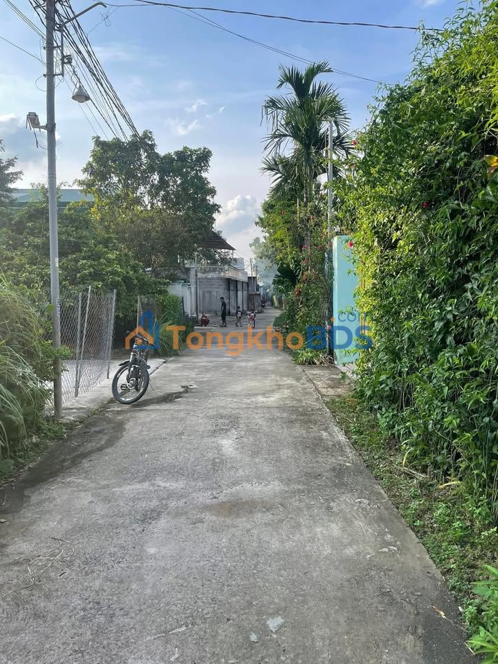 Đất Tân Phú 536m² - Sổ hồng Full, Giá 1.65 Tỷ - Xây Nhà Trọ Lý Tưởng