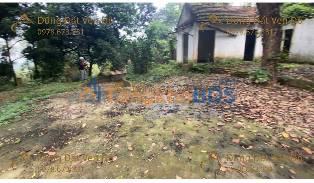 Đất nền Tiên Phương Chương Mỹ 1.138m² - Sổ đỏ chính chủ