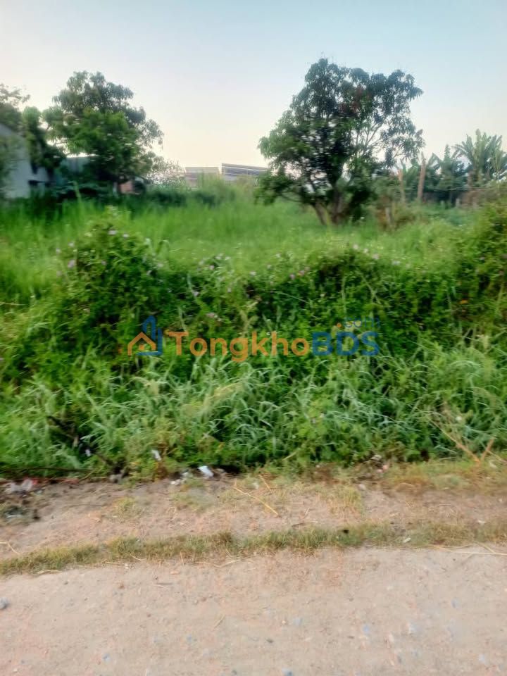 Đất Vàng Mặt Tiền Nguyễn Thượng Hiền, Ayun Pa 301m² - Sổ Đỏ Thổ Cư