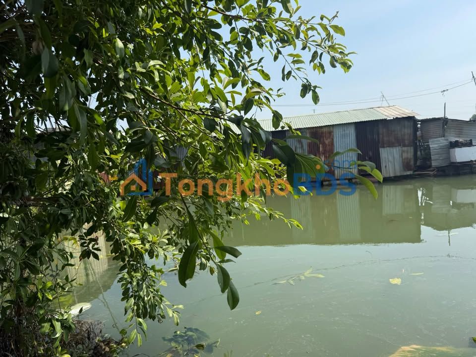 Farm Mặt Tiền Sông Hiệp Hòa 7200m² - Vườn Nghỉ Dưỡng Lý Tưởng
