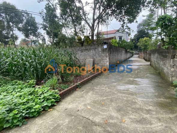 Đất Nền Chương Mỹ 95.5m² Sổ Đỏ - Gần QL 21A