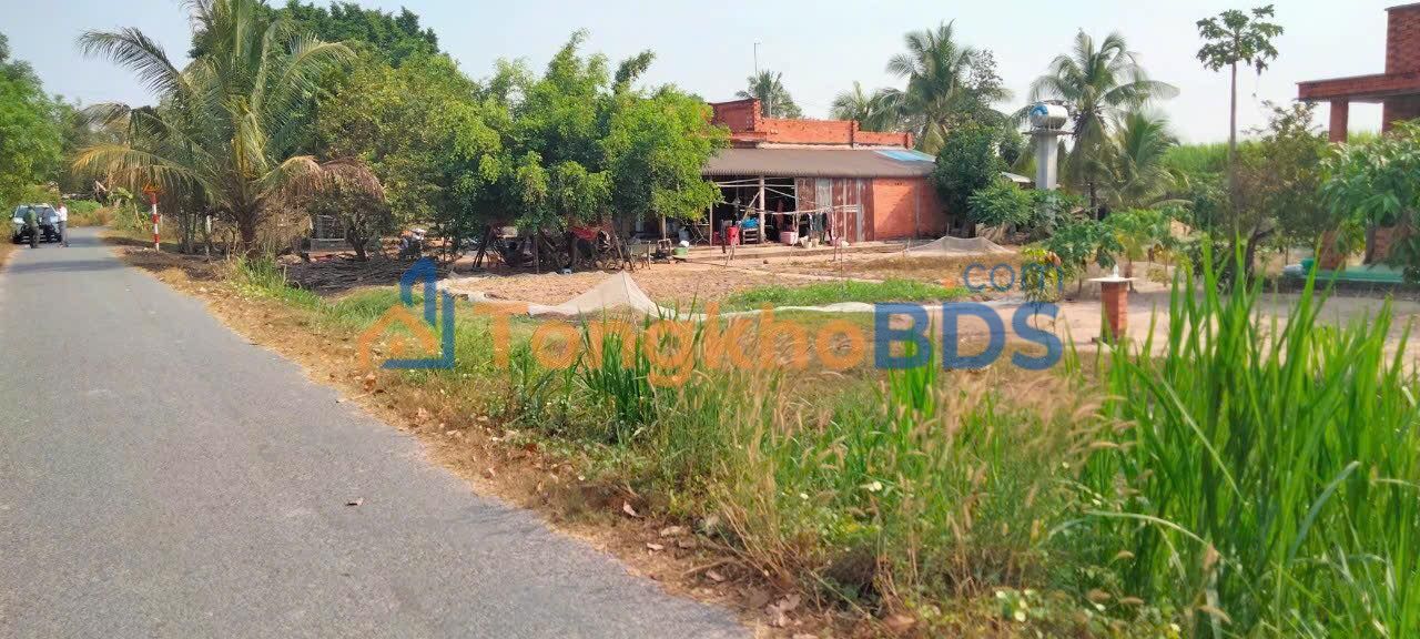 Đất Mặt Tiền Nhựa Hiệp Thạnh Gò Dầu 550m² - Sổ Hồng Thổ Cư 100%, Giá Tốt