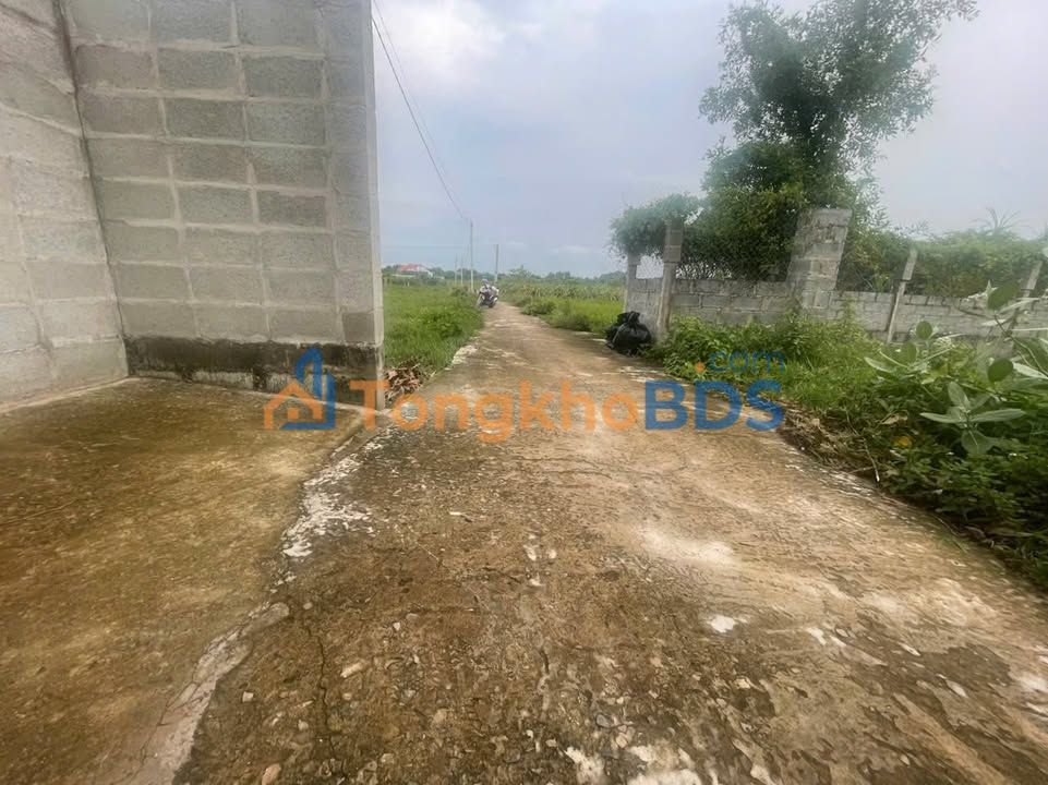 Bán Đất Vườn Nghỉ Dưỡng Hàm Liêm 1000m² - Sổ Hồng - Giá 1.3 Tỷ