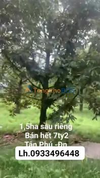 Bán Gấp Vườn Sầu Riêng Thái 15.000m² Đồng Nai - Thu Nhập Khủng