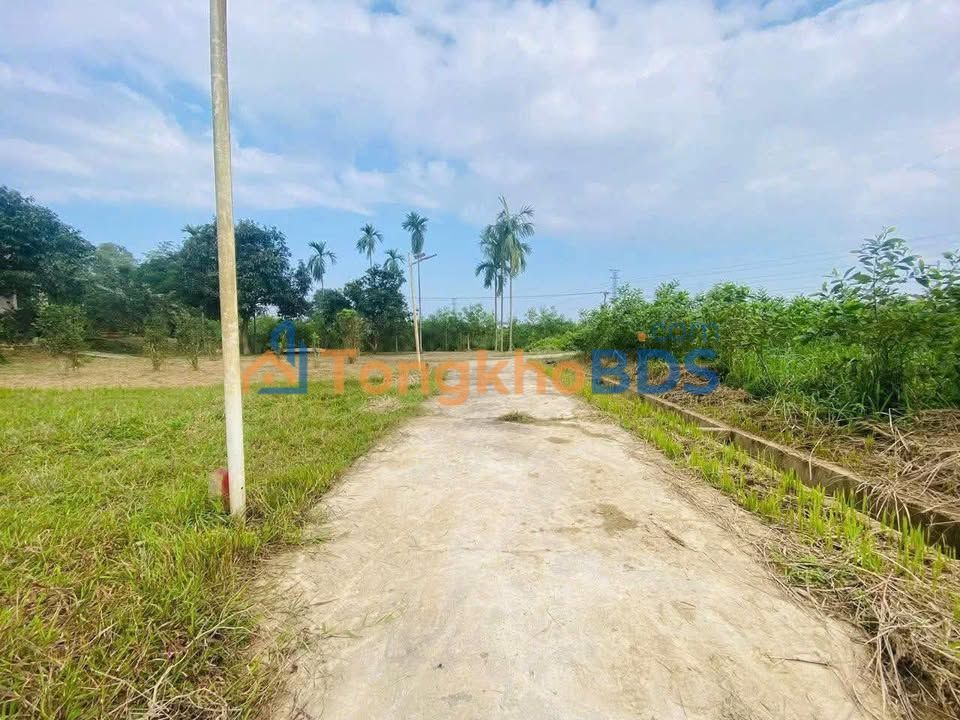 Đất Thổ Cư Phong Điền, Huế 124m² - Sổ Hồng Rõ Ràng, Giá Tốt