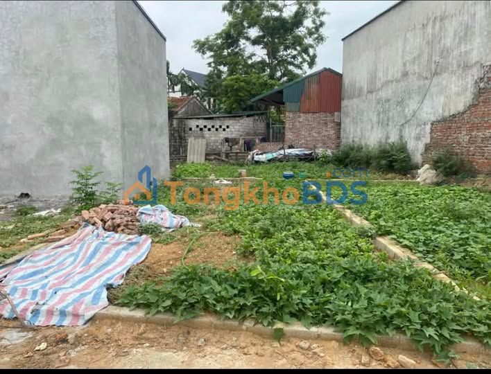 Bán đất Chúc Sơn, Chương Mỹ 51m² - Ngõ ô tô, giá 2.9 tỷ