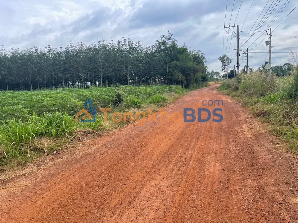 Đất DT741 Bàu Bàng 1200m² 650 triệu - Đường to ô tô