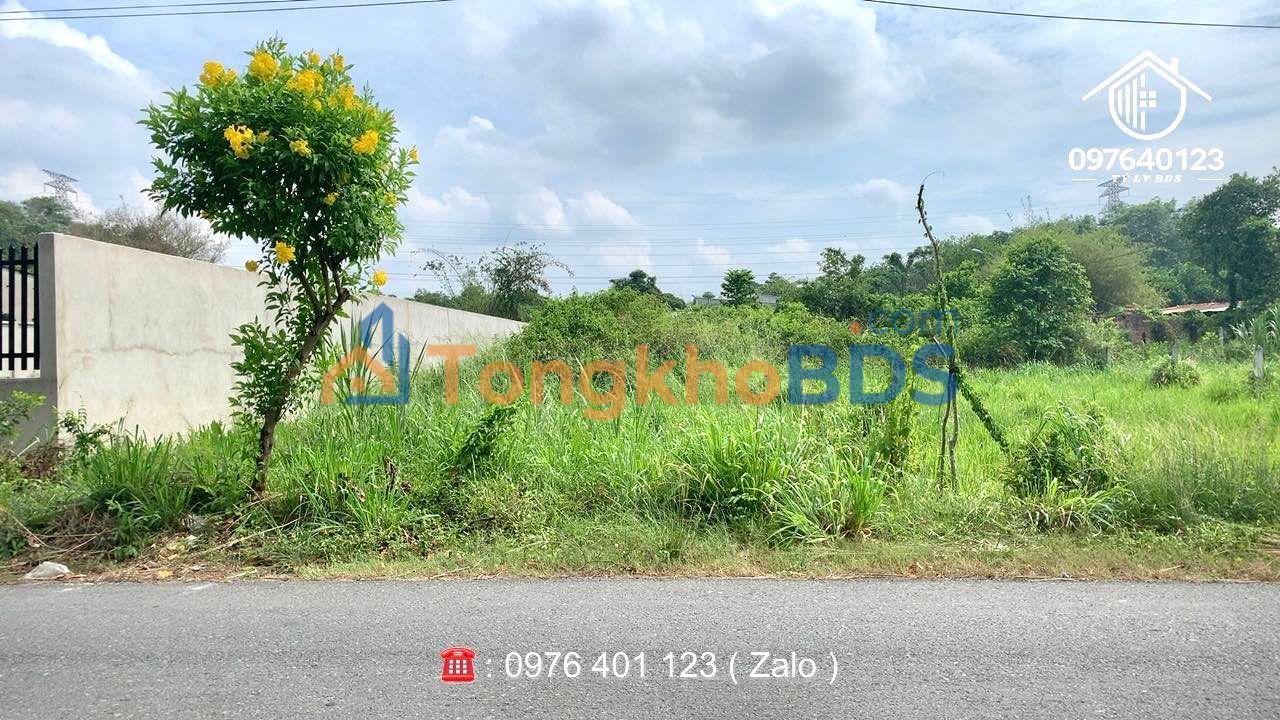 Đất Nhuận Đức Củ Chi 200m² - Sổ hồng thổ cư, MT đường lớn