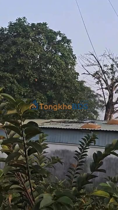 Đất nền Xuân Thới Sơn Hóc Môn 10.000m² 60 tỷ - Giá tốt