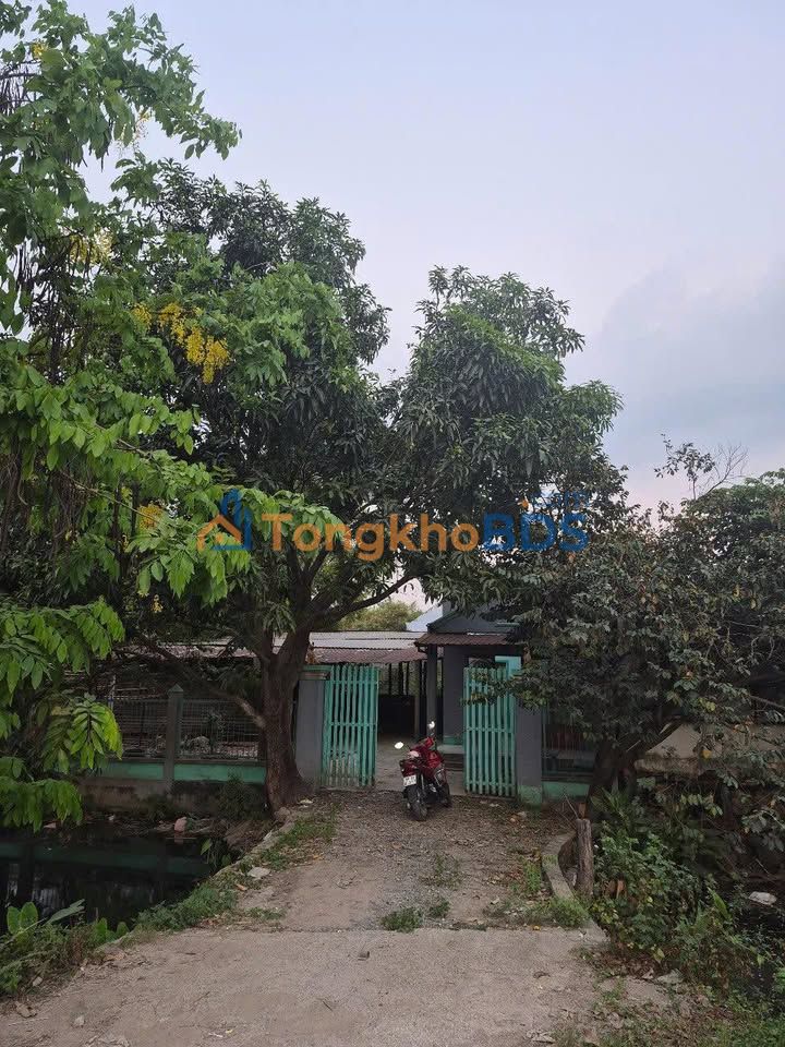 Cho thuê kho xưởng 450m² mặt tiền rộng Tân Hiệp, Hóc Môn - 15 triệu/tháng