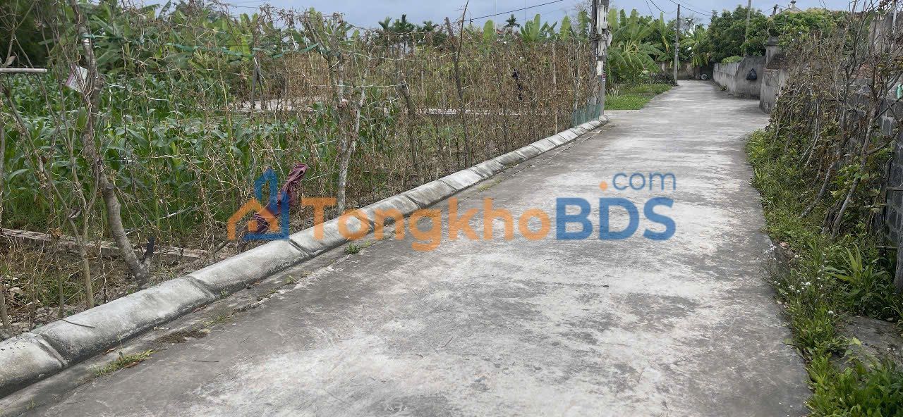 Đất An Trường Hải Phòng 64m² - Sổ đỏ sẵn, gần KCN Tràng Duệ