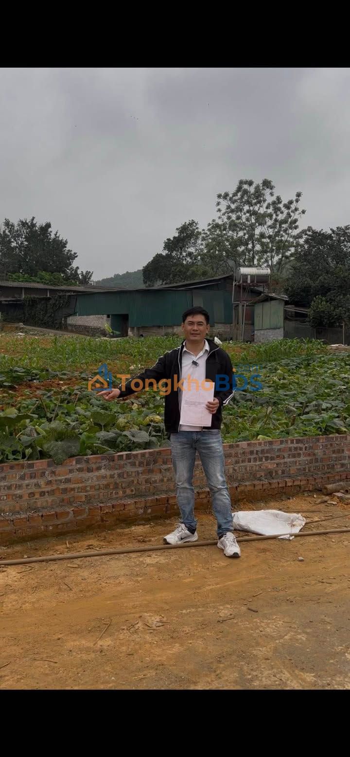 Đất thổ cư An Thượng 200m² giá 1,5 tỷ - Sổ đỏ chính chủ