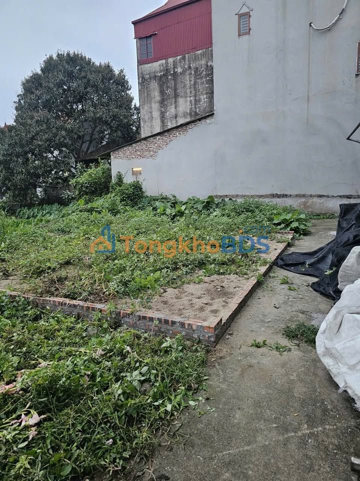 Đất thổ cư Ngũ Hiệp 40m² dưới 4 tỷ - Sổ đỏ xây tự do