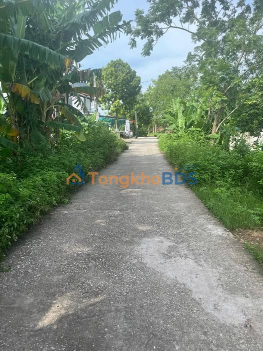 Đất thổ cư Mỹ Đức 91m² - Mặt đường đê tiềm năng, giá dưới 2 tỷ