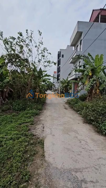 Đất Dịch Vụ Lại Yên Hoài Đức 126m² - Mặt Tiền 30m, Sẵn Sàng Đầu Tư