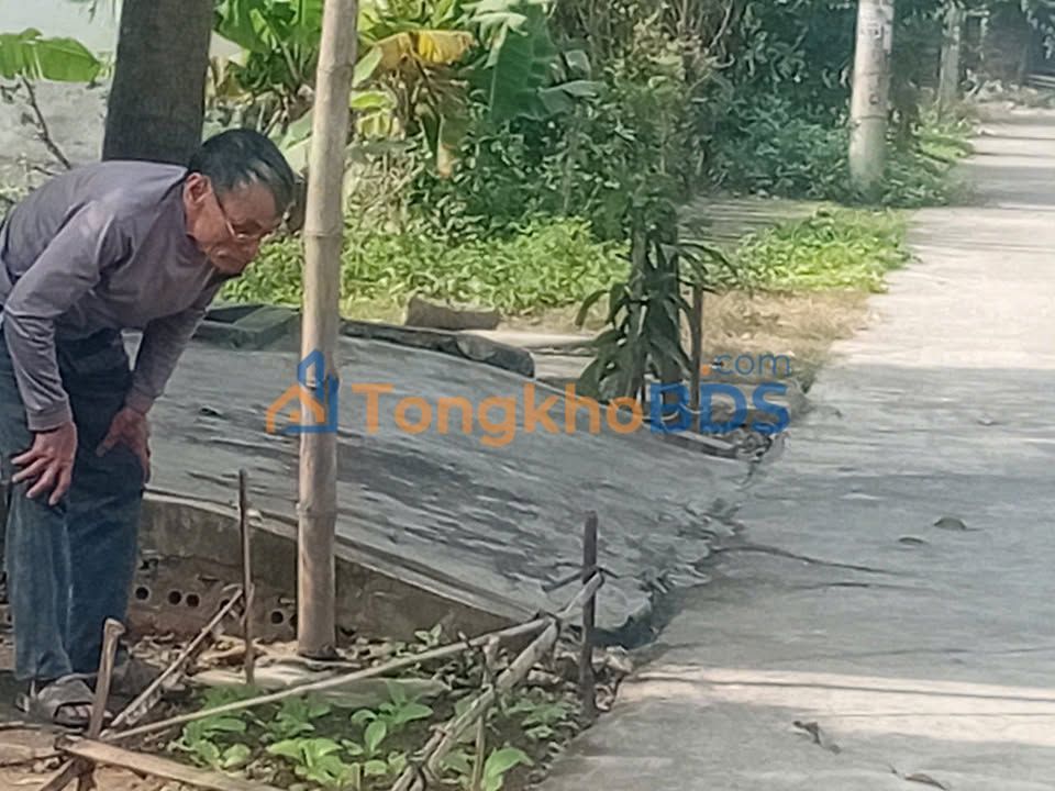 Đất Vườn Hoa Ninh Bình 125m² - Mặt Tiền 5m - Sổ Đỏ Sẵn Sàng