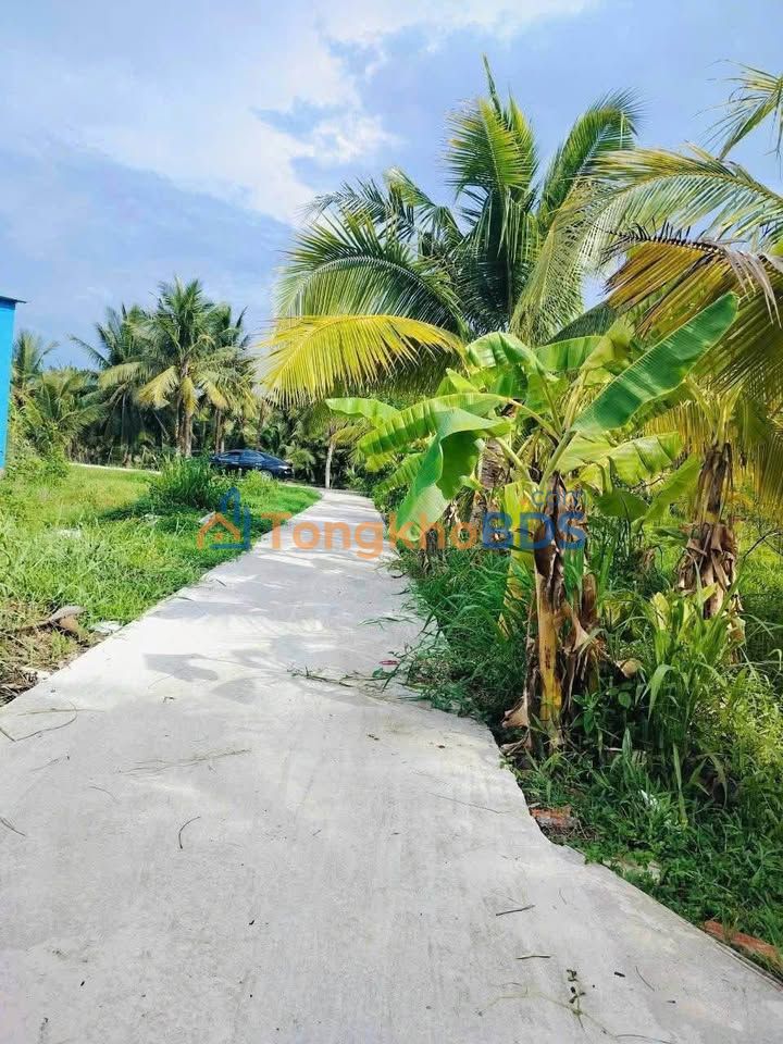 Đất nền Phú Hưng Bến Tre 745m² 1.15 tỷ - Sổ đỏ chính chủ