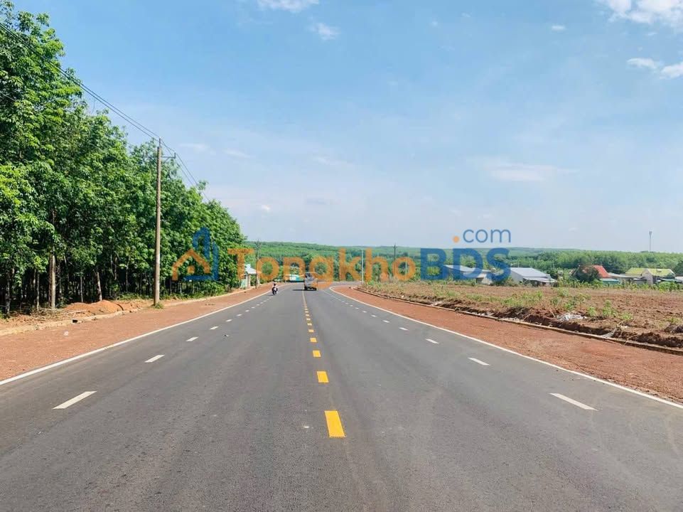 Bán Đất Gò Vấp 1000m² - Sổ Đỏ Thổ Cư, Đường Nhựa 19m Giá Tốt