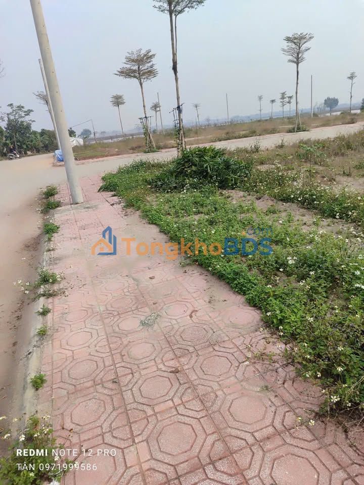 Bán gấp đất đấu giá Khu Bà Hoà 2, Phú Thọ - 79.91m² - Sổ hồng sẵn