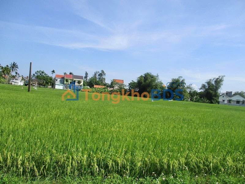 Đất Nền An Mỹ Hội An 181m² - Sống Xanh, Gần Biển, Giá Tốt