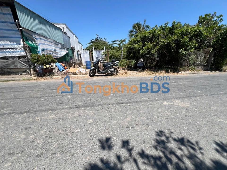 Đất HLộ 04 Phước Trung 258m² 1.25 tỷ - Sổ đỏ chính chủ